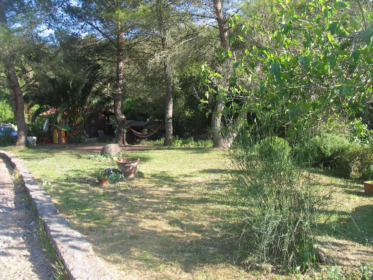 Ex Water Mill Old Stone House 15Th Century Apartment Livorno